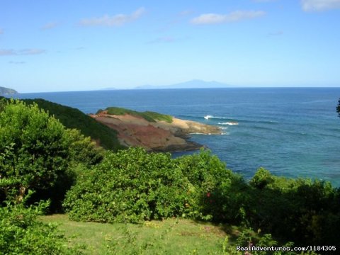 view from main house veranda