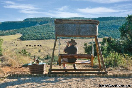 Game viewing | Addo Afrique | Image #6/8 | 