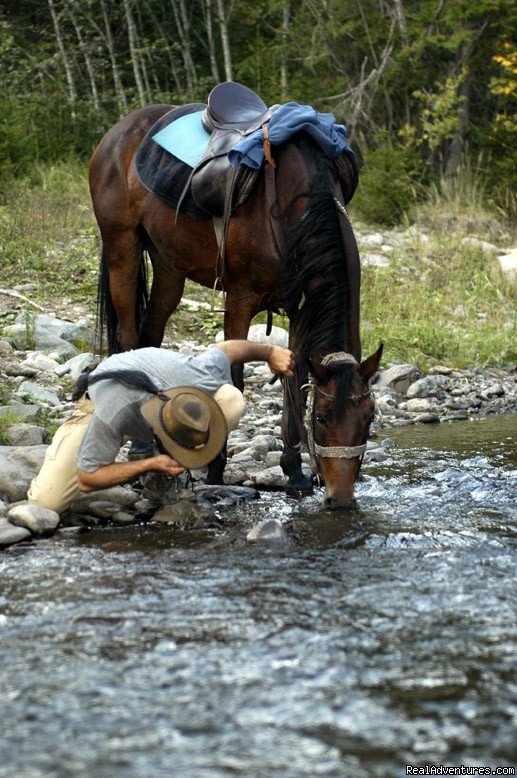 Of Men and Horses... | Horse Riding Trips at Calimani Equestrian Centre | Image #3/7 | 