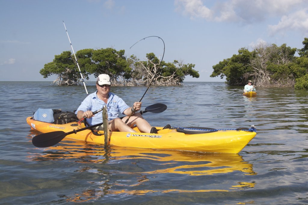 catch and release fishing for  barracuda, jack and other spe | National Wildlife Refuge Kayak & Boat Tours | Image #10/10 | 