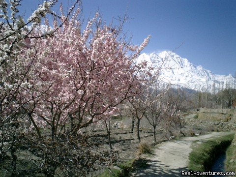 Adventure Travel In Pakistan | Image #5/6 | 