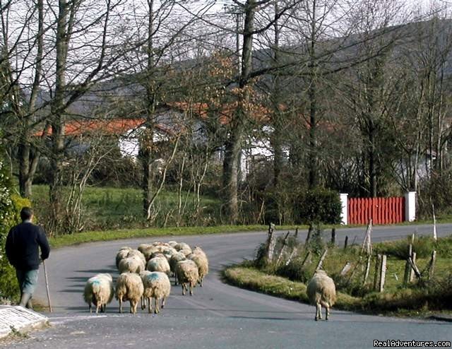 village life  | Tranquil Pyreneean retreat in the Basque Country | Image #11/14 | 