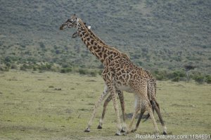 East Africa Vacation Holidays | Nairobi, Kenya | Sight-Seeing Tours