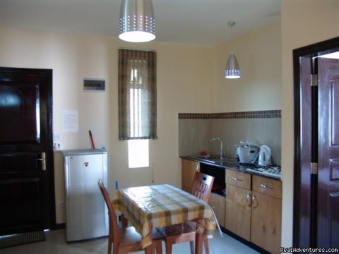 Villa Narmada Kitchen 1 BD apt