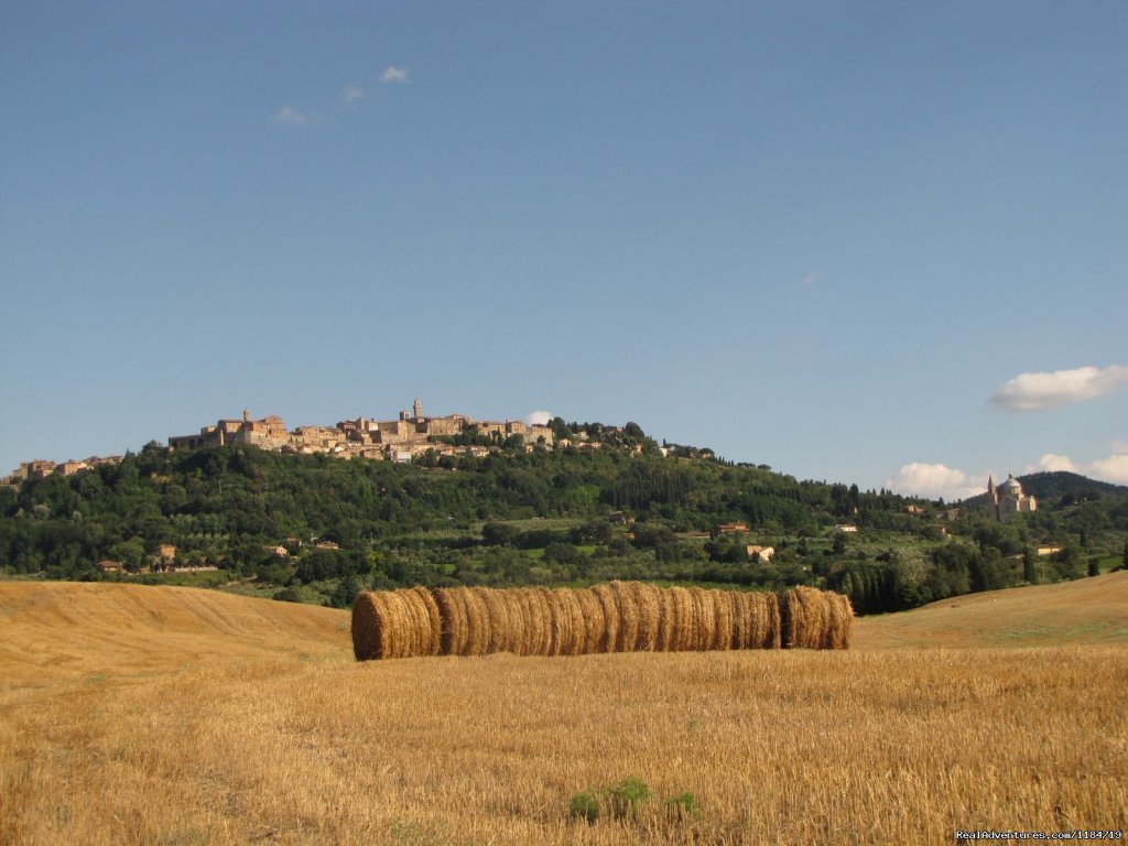 Montepulciano | Learn Italian in Tuscany @ Il Sasso | Image #13/17 | 