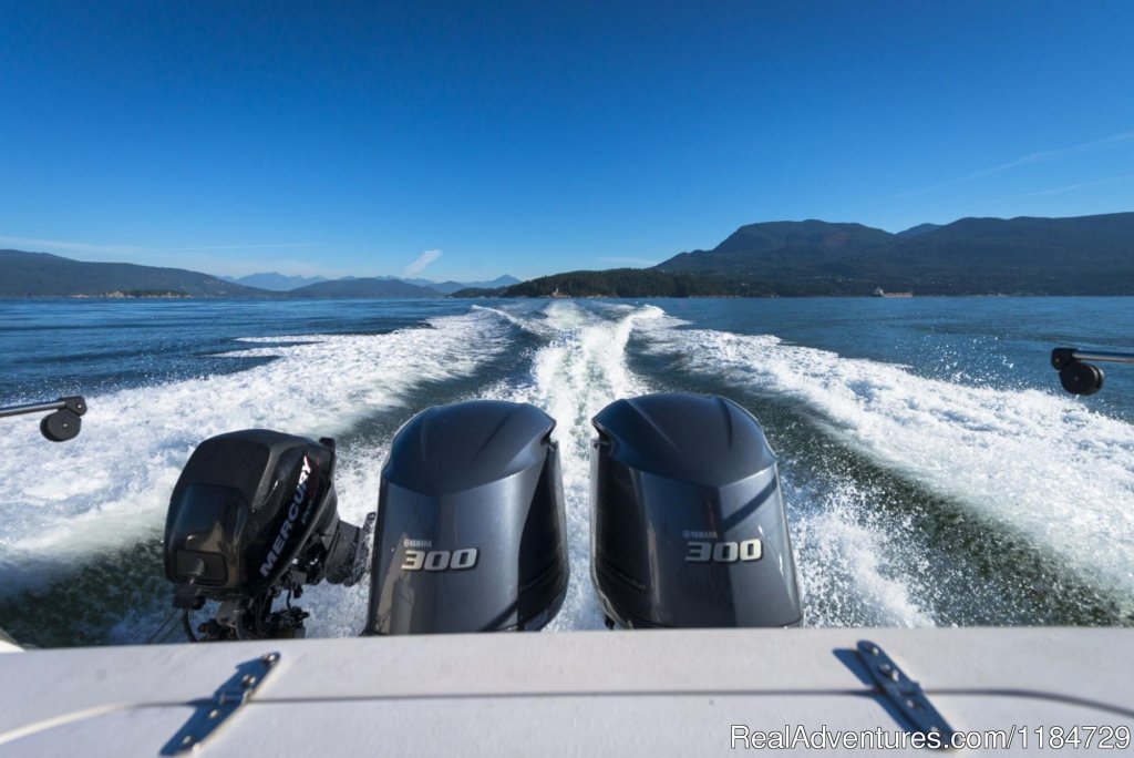 Vancouver Salmon Charters | Image #4/5 | 