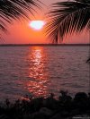 Treetop Retreat- An Elemental Belizean Experience! | Placencia, Stann Creek, Belize