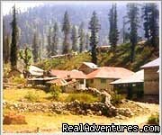 Himachal Tours | Kathmandu, Nepal | Sight-Seeing Tours