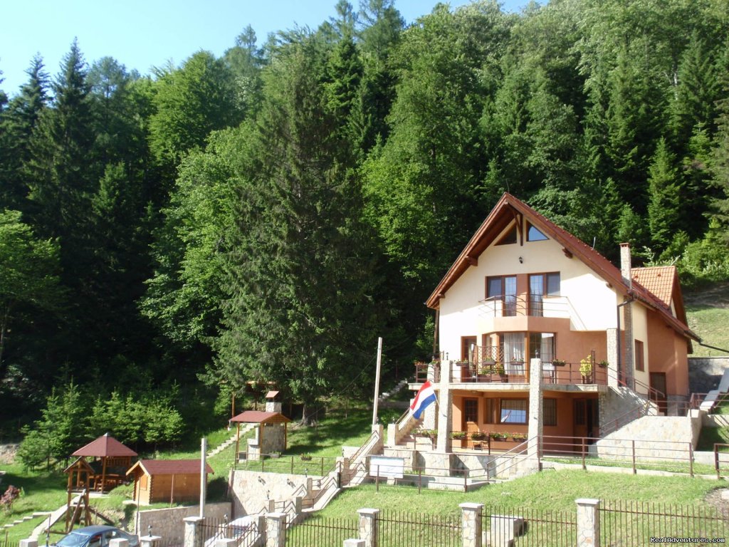 Garden and playground | Villa Casa Olandeza Brasov mountain holiday house | Image #8/23 | 