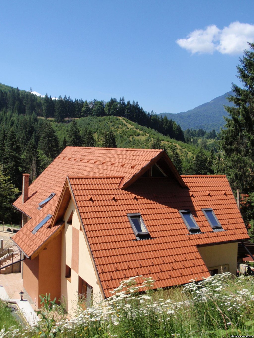 Back view  & panorama | Villa Casa Olandeza Brasov mountain holiday house | Image #12/23 | 