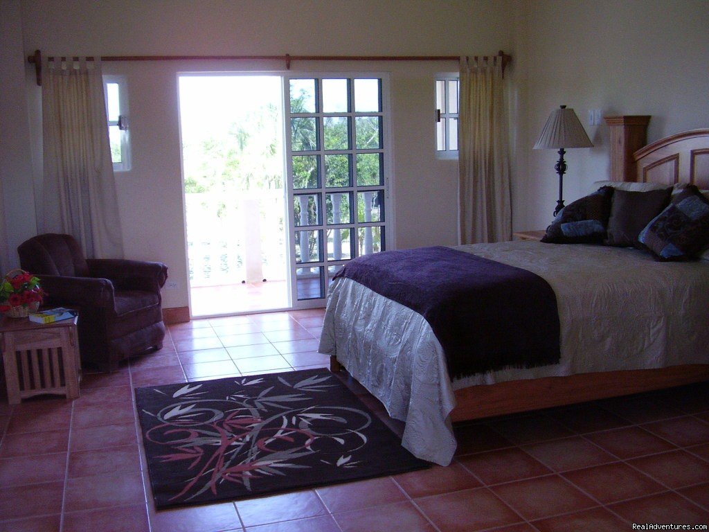 Serenity Sands B&B, Toucan Room | Serenity Sands Bed & Breakfast | Image #3/12 | 