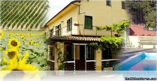 Vineyard retreat in heart of Piedmont, Italy | Piedmont, Italy | Vacation Rentals | Image #1/2 | 