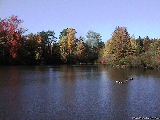 Stocked Pond For Fishing | Shangrila Guest Ranch, VA - NC Horseback Riding | Image #6/7 | 