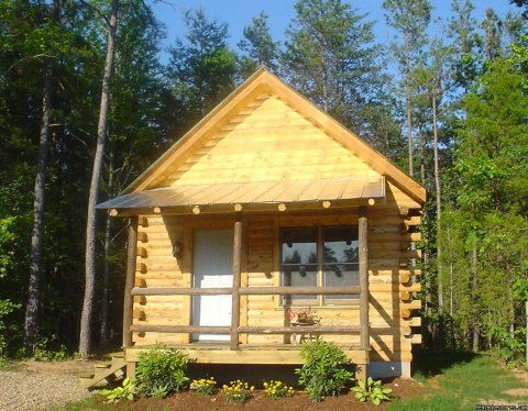 Log Cabin, Lodging