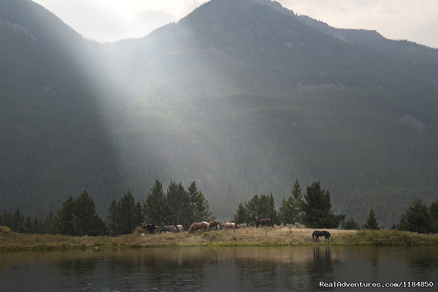 Horses grazing | Hawley Mountain Guest Ranch Vacation | Image #13/16 | 