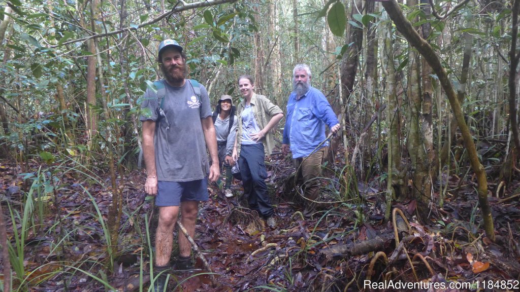 Trekking In The Sebangau National Park Wildlife Spotting | Orangutan River Cruises | Image #12/18 | 