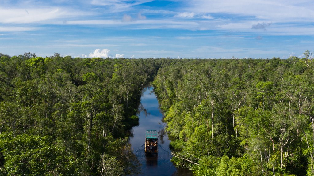 Orangutan River Cruises | Image #16/18 | 