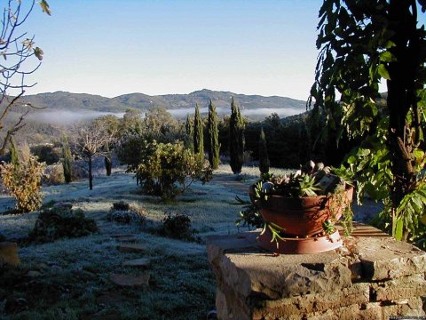 view from the patio, autumn