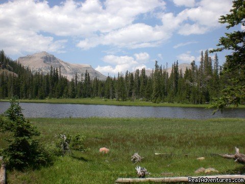 Rock Creek Drainage | High Lake Wilderness Trips And Horseback Riding | Image #2/3 | 