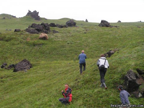 Hunting with a camera | Kamchatka - hot land at the cold sea. | Kamchatka peninsula, Russian Federation | Photography | Image #1/24 | 