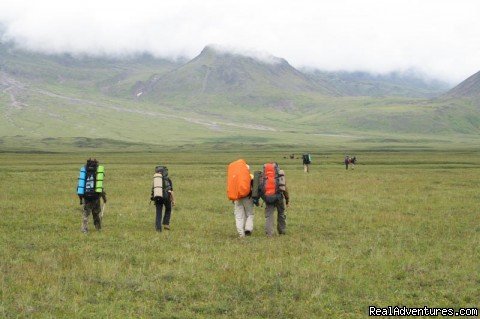 To Tolbachinsky pass | Kamchatka - hot land at the cold sea. | Image #2/24 | 