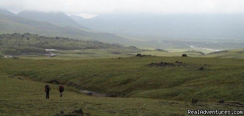 Tolbachinsky pass | Kamchatka - hot land at the cold sea. | Image #11/24 | 