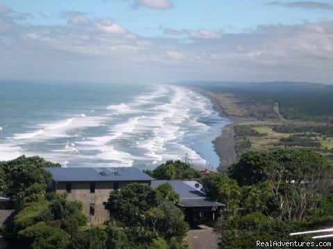 See Muriwai beach | Auckland (nz) Sheep World Tour | Image #6/9 | 