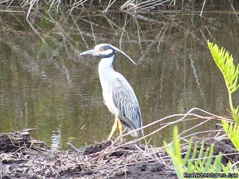 Florida Camping on the River | Image #2/3 | 