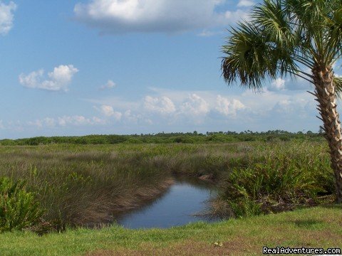 Florida Camping on the River | Image #3/3 | 