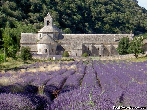 Abbey of Senanque