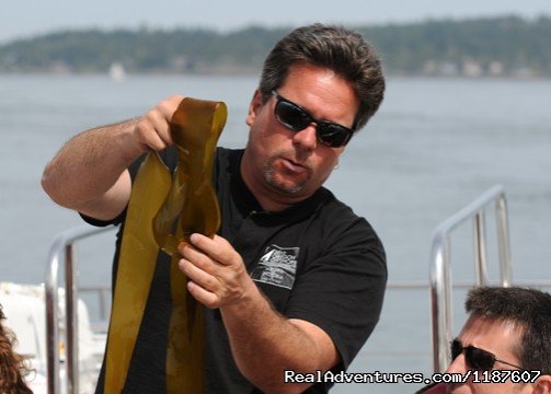 Captain Jeff | Eagle Wing Whale Watching | Image #5/10 | 