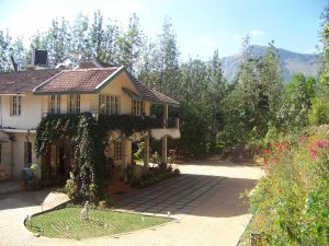 Jungle camping Devigiri Coffee Estate Chikmagalur