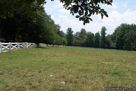 Field | The Farm on Hobb Knobb Hill | Image #4/5 | 