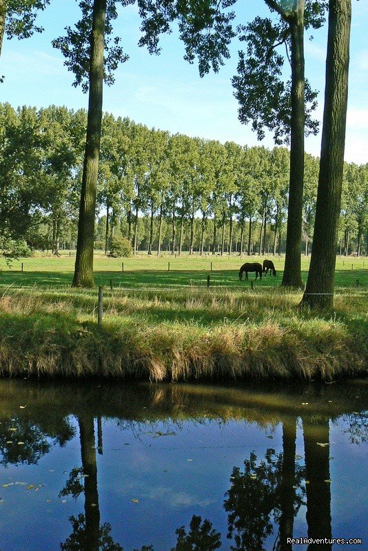 Wachtebeke | Romantic B & B between Ghent - Bruges and Antwerp | Image #22/22 | 