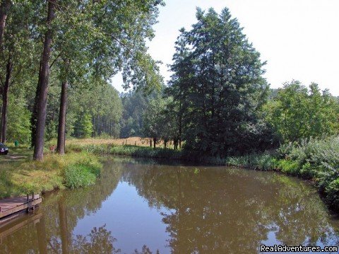 Wachtebeke Zuidlederiver | Romantic B & B between Ghent - Bruges and Antwerp | Image #9/22 | 