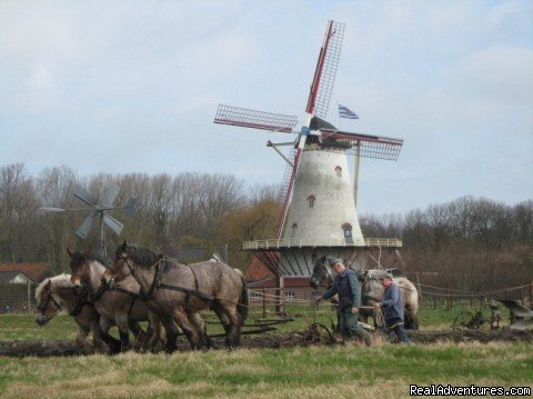 Landscape Zeeuws Vlaanderen | Romantic B & B between Ghent - Bruges and Antwerp | Image #19/22 | 