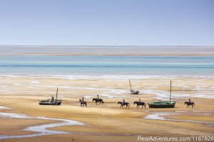 Mozambique Horse Safari