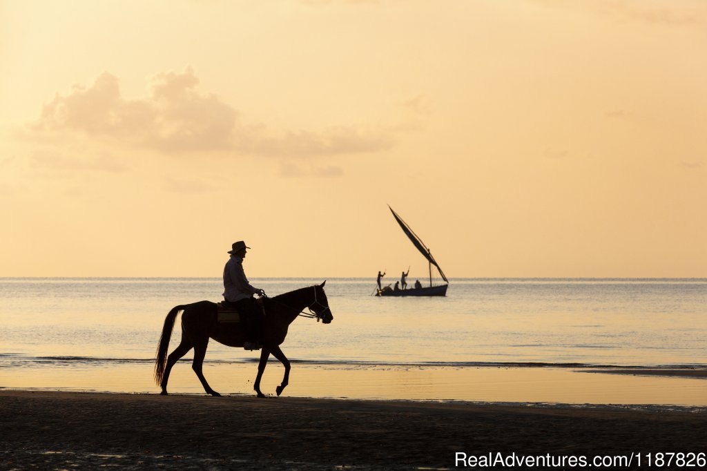 Mozambique Horse Safari | Image #2/4 | 