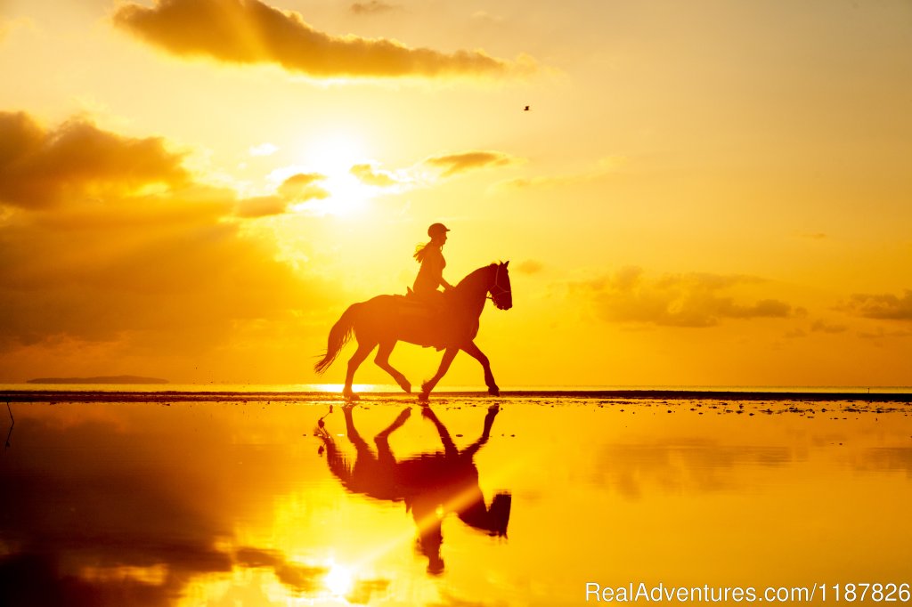 Mozambique Horse Safari | Image #4/4 | 