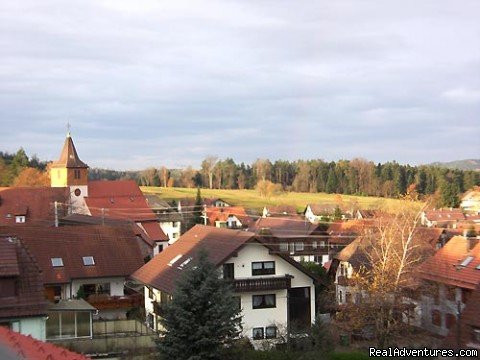 Gasthof zur Linde - View from Single Room | Gasthof zur Linde ...your cosy Guesthouse in Dobel | Image #3/8 | 