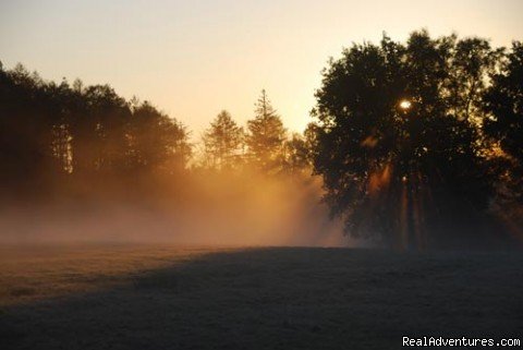 Gasthof zur Linde - Dobel Countryside | Gasthof zur Linde ...your cosy Guesthouse in Dobel | Image #5/8 | 