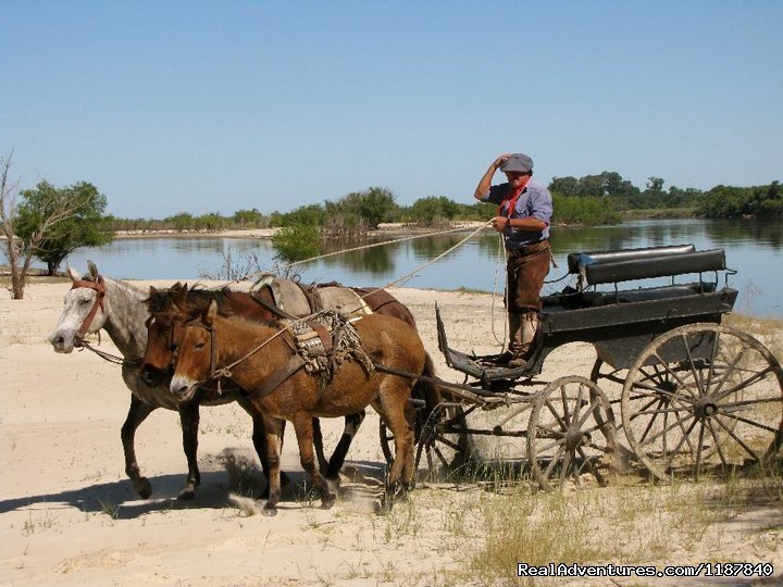 Unique Argentine Estancia | Image #4/18 | 