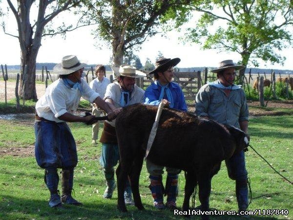 Gauchos | Unique Argentine Estancia | Image #7/18 | 