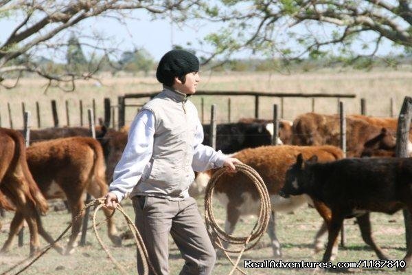 Unique Argentine Estancia | Image #9/18 | 