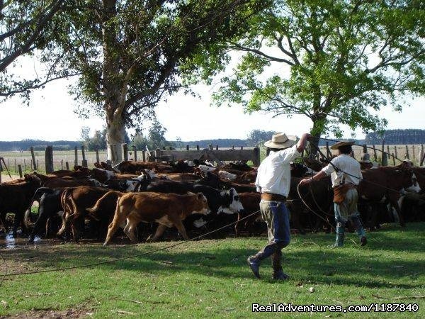 Gauchos&lazo | Unique Argentine Estancia | Image #10/18 | 