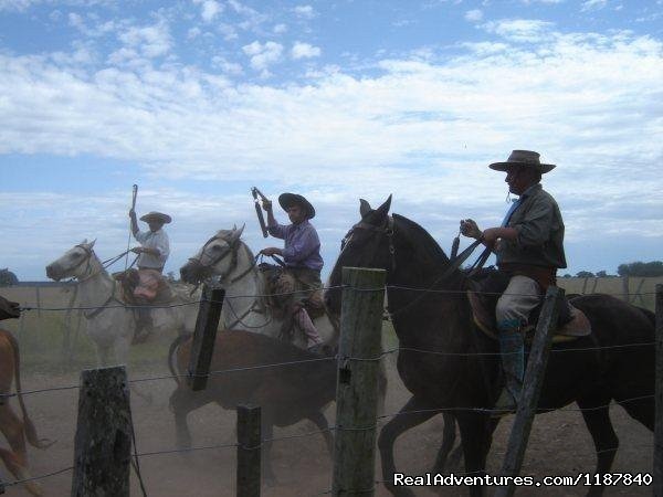 Gauchos in action  Estancia Don Joaquin | Unique Argentine Estancia | Image #11/18 | 