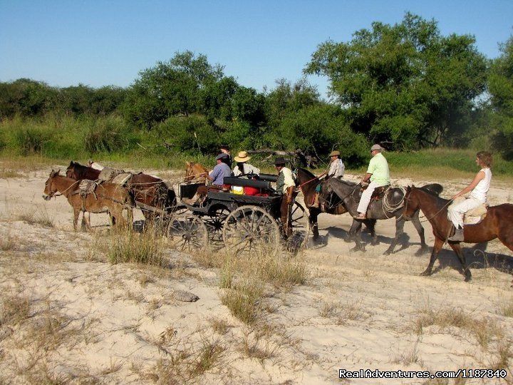 Old carriage by the river | Unique Argentine Estancia | Image #13/18 | 