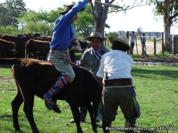 Gaucho skills | Unique Argentine Estancia | Image #15/18 | 