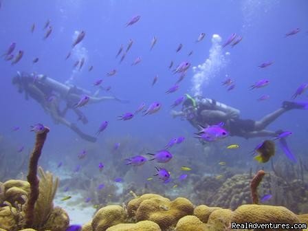 Placencia in Caribbean Belize | Image #3/6 | 