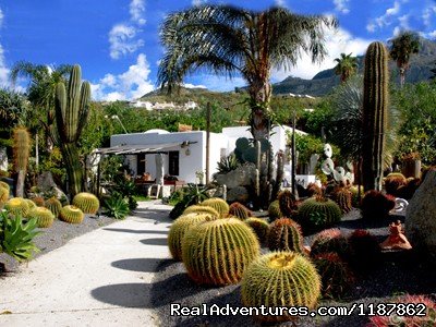 Part of the botanical garden with the Cactus lounge cafe 